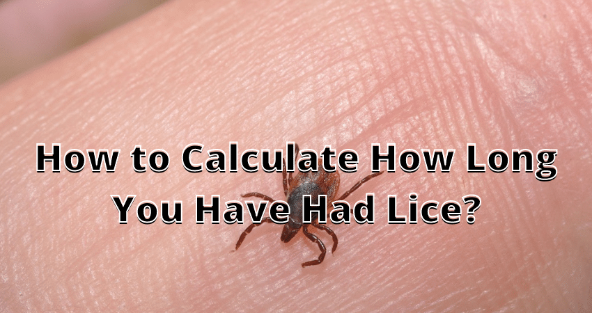 how-to-calculate-how-long-you-have-had-lice